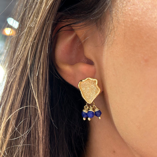 Blue Stones Earring